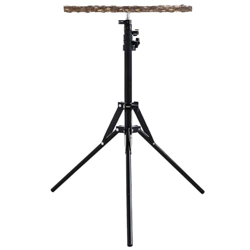 Vogel-Sitzstange – verstellbare Vogel-Trainingsstange | Papageienständer für große Vögel | 40–157 cm Höhe Metall Papageien-Trainingsständer | Langlebige Holz-Basisstation zum Klettern und Ruhezone Vogel-Sitzstange – verstellbare Vogel-Trainingsstange | Papageienständer für große Vögel | 40–157 cm Höhe Metall Papageien-Trainingsständer | Langlebige Holz-Basisstation zum Klettern und Ruhezone von TABSIRAH