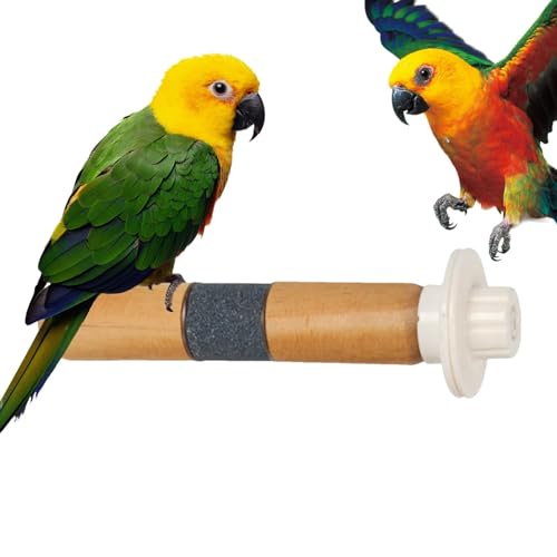 Vogelstange Ständer Spielzeug, Papagei Stehende Pfote Schleifen - Sitzstange Ständer Spielzeug für Papagei Eichhörnchen Pfote Schleifständer für Aras, Wellensittiche, Spatzen Vogelstange Ständer Spielzeug, Papagei Stehende Pfote Schleifen - Sitzstange Ständer Spielzeug für Papagei Eichhörnchen Pfote Schleifständer für Aras, Wellensittiche, Spatzen von TABSIRAH