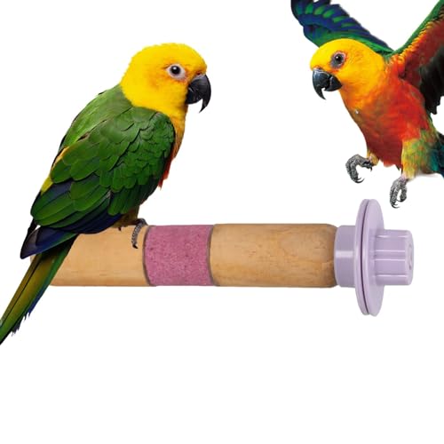 Vogelstange Ständer Spielzeug, Papagei Stehende Pfote Schleifen - Sitzstange Ständer Spielzeug für Papagei Eichhörnchen Pfote Schleifständer für Aras, Wellensittiche, Spatzen Vogelstange Ständer Spielzeug, Papagei Stehende Pfote Schleifen - Sitzstange Ständer Spielzeug für Papagei Eichhörnchen Pfote Schleifständer für Aras, Wellensittiche, Spatzen von TABSIRAH