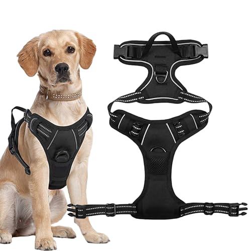 Welpengeschirr für kleine Hunde – Ziehgeschirr, verstellbar, weich gepolstert, Hundeweste, Haustierbedarf, einfache Kontrolle, reflektierend, strapazierfähig, mit 2 für Hunde und Welpen Welpengeschirr für kleine Hunde – Ziehgeschirr, verstellbar, weich gepolstert, Hundeweste, Haustierbedarf, einfache Kontrolle, reflektierend, strapazierfähig, mit 2 für Hunde und Welpen von TABSIRAH