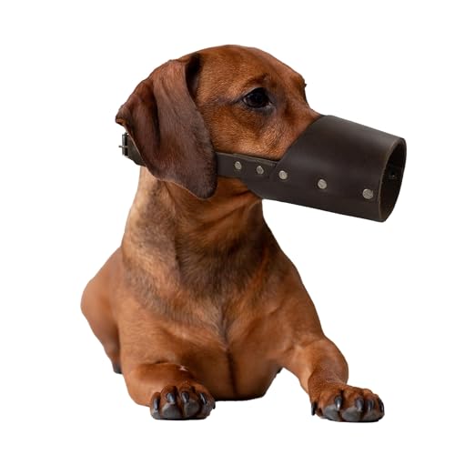Taco Dog, Maulkorb aus Leder, handgefertigt aus Vollnarbenleder, sichere Trainingsabdeckung, Mundschutz Maske verhindert Beißen Kauen - Bourbon Brown (klein) von TACO DOG