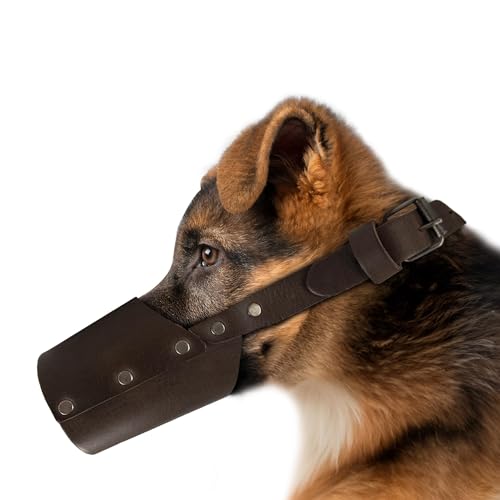 Taco Dog, Maulkorb aus Leder für Hunde, handgefertigt aus Vollnarbenleder - sichere Trainingsabdeckung, Mundschutzmaske verhindert beißendes Kauen - Bourbon Brown (Medium) von TACO DOG