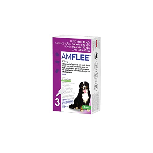 Amflee Spot On Floh- und Zeckenmittel für Hunde über 40 kg (XL), 3 Einzeldosis-Pipetten mit 402 mg Fipronil, Lösung zum Auftropfen von AMFLEE
