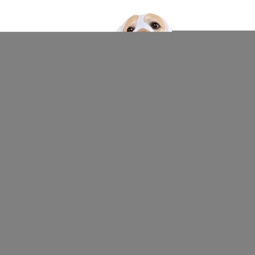 TADAYIM Hunde Halloween Kostüme,weiße Kostüme für Hunde - Gruseliges Partyoutfit Für Welpen Und Katzenbabys Als Fotozubehör von TADAYIM