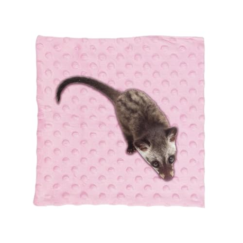 TADAYIM Sugar Glider Decken – Sugar Glider Schlafmatte, waschbar, kleines Haustier-Spielhandtuch, Schlafunterlage für Chinchilla-Igel TADAYIM Sugar Glider Decken – Sugar Glider Schlafmatte, waschbar, kleines Haustier-Spielhandtuch, Schlafunterlage für Chinchilla-Igel von TADAYIM