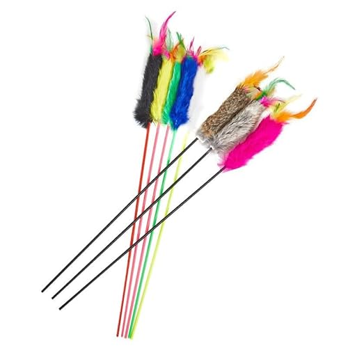 TADSFVC 1 stück Katzenspielzeug Lustiges Haustierspielzeug for Katzen Interaktives Katzenstock-Federkätzchenspielzeug Zufällige Farbe Heimtierbedarf katzenspielzeug Maus TADSFVC 1 stück Katzenspielzeug Lustiges Haustierspielzeug for Katzen Interaktives Katzenstock-Federkätzchenspielzeug Zufällige Farbe Heimtierbedarf katzenspielzeug Maus von TADSFVC