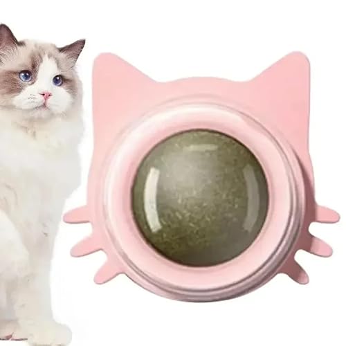 TADSFVC Katzenminze-Wand-Drehball, natürliche Minze für Katzen, fördert die Verdauung, verbessert den Appe, interaktives Spielzeug, Katzen, um Katzenspielzeug zu jagen (7) von TADSFVC