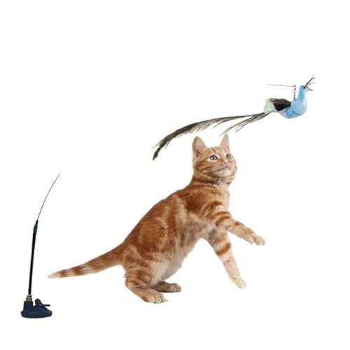 TADSFVC Simulation Vogel Katzenspielzeug Lustiger interaktiver Pfau mit Glocke Katzenstab for Kätzchen Teaser Zauberstab Spielzeug Haustier Katzenbedarf katzenspielzeug Maus(Pigeon-Handheld) von TADSFVC