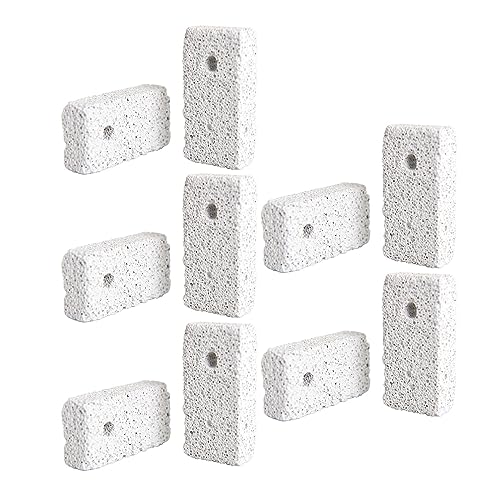 TAHUAON Kauspielzeug für Kleintiere, Mineralstein, 6 x 3 x 1,5 cm, 10 Stück TAHUAON Kauspielzeug für Kleintiere, Mineralstein, 6 x 3 x 1,5 cm, 10 Stück von TAHUAON