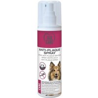 TAKE CARE Anti-Plaque Spray 125ml von TAKE CARE