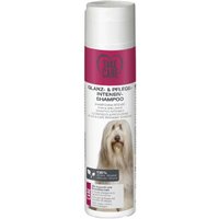 TAKE CARE Glanz- und Pflege-Intensiv-Shampoo 250ml TAKE CARE Glanz- und Pflege-Intensiv-Shampoo 250ml von TAKE CARE