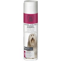 TAKE CARE Glanz- und Pflege-Intensiv-Shampoo 250ml von TAKE CARE