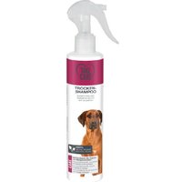TAKE CARE Trocken-Shampoo Spray 250ml TAKE CARE Trocken-Shampoo Spray 250ml von TAKE CARE