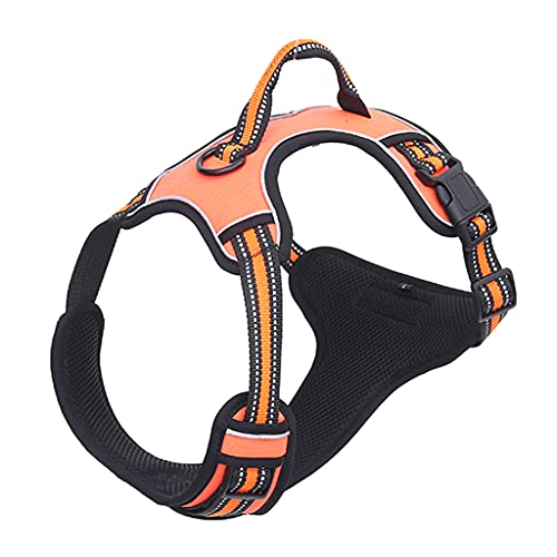 TAKOXIA Hundegeschirr für Hunde, Welpen, verstellbar, atmungsaktiv, Netzstoff, Brustkragen für D TAKOXIA Hundegeschirr für Hunde, Welpen, verstellbar, atmungsaktiv, Netzstoff, Brustkragen für D von TAKOXIA