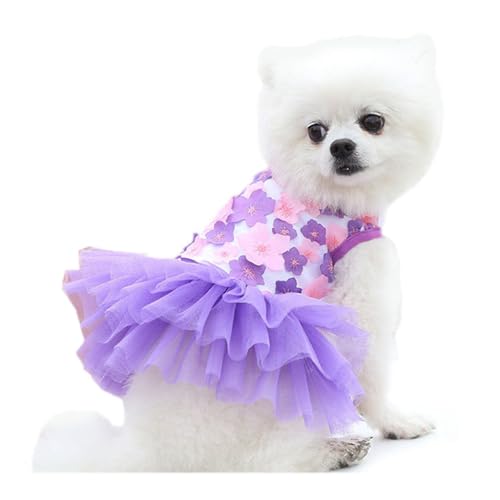 TAKOXIA Spitzenkleid für kleine Hunde, modisch, Geburtstagsparty, Welpen, Hochzeitskleid, niedliches Haustierkostüm, Blau TAKOXIA Spitzenkleid für kleine Hunde, modisch, Geburtstagsparty, Welpen, Hochzeitskleid, niedliches Haustierkostüm, Blau von TAKOXIA