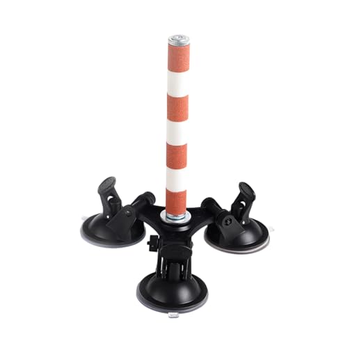 TAKOXIA Vogel-Sitzstange aus Keramik für Papageien, Sittiche, Schleifkratzer für kleine, mittelgroße Papageien, Spielzeug TAKOXIA Vogel-Sitzstange aus Keramik für Papageien, Sittiche, Schleifkratzer für kleine, mittelgroße Papageien, Spielzeug von TAKOXIA