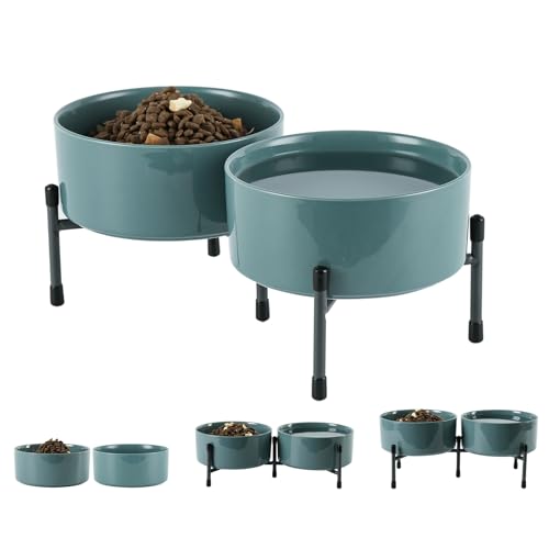 TAMAYKIM 907.2 g Keramik Hund Katze Schüssel mit erhöhtem Metallständer, 15,2 cm Porzellan Runde Futter- und Wassernapf Set, rutschfeste Haustier Futternapf für Katzen & Hunde, Blau Grau, 2 Stück TAMAYKIM 907.2 g Keramik Hund Katze Schüssel mit erhöhtem Metallständer, 15,2 cm Porzellan Runde Futter- und Wassernapf Set, rutschfeste Haustier Futternapf für Katzen & Hunde, Blau Grau, 2 Stück von TAMAYKIM