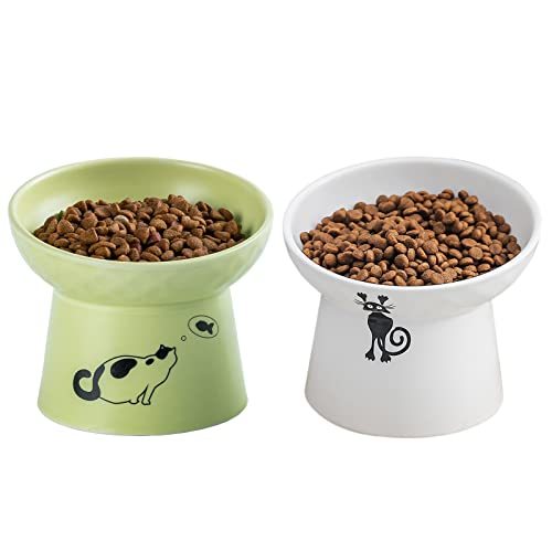 TAMAYKIM Gekippte Keramik-erhöhte Katzennäpfe, 237 ml, Futter- und Wassernäpfe, Set für Kätzchen, Porzellan, spülmaschinen- und mikrowellengeeignet, 2 Stück (weiß und grün) von TAMAYKIM
