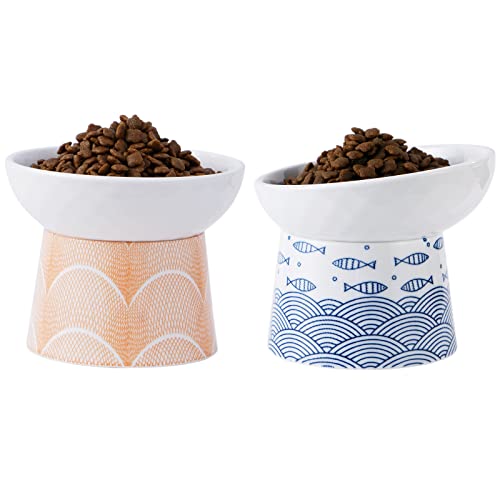 TAMAYKIM Keramik erhöhte Katzennäpfe, Futter- und Wassernäpfe Set für Katzen, Kätzchen und kleine Hunde, spülmaschinen- und mikrowellengeeignet, 2 Stück von TAMAYKIM