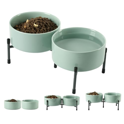TAMAYKIM Keramiknapf für Hunde und Katzen, 907 ml, mit erhöhtem Metallständer, 15,2 cm, Porzellan, rund, Futter- und Wassernapf, rutschfeste Futternäpfe für Katzen und Hunde, Hellgrün, 2 Stück TAMAYKIM Keramiknapf für Hunde und Katzen, 907 ml, mit erhöhtem Metallständer, 15,2 cm, Porzellan, rund, Futter- und Wassernapf, rutschfeste Futternäpfe für Katzen und Hunde, Hellgrün, 2 Stück von TAMAYKIM