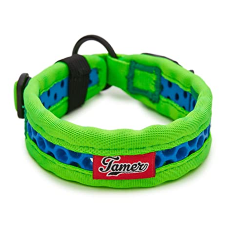 TAMER Softy Halsband | Breite 2,8cm | Umfang 35-41cm | grün/blau TAMER Softy Halsband | Breite 2,8cm | Umfang 35-41cm | grün/blau von TAMER