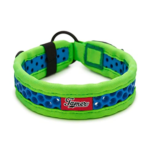 TAMER Softy Halsband | Breite 3,3cm | Umfang 30-36cm | grün/blau von TAMER