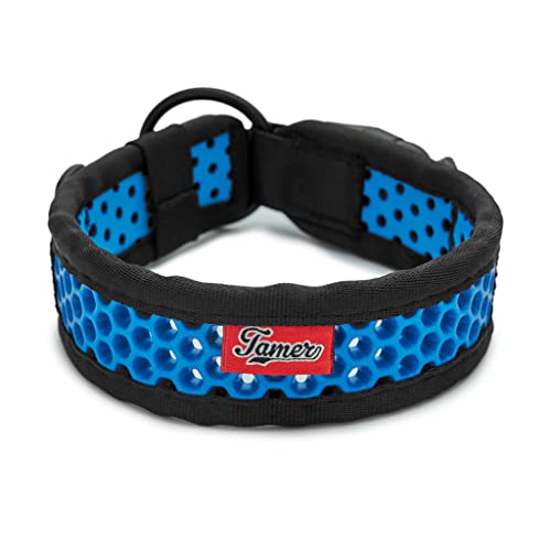 TAMER Softy Halsband | Breite 3,8cm | Umfang 45-51cm | schwarz/blau TAMER Softy Halsband | Breite 3,8cm | Umfang 45-51cm | schwarz/blau von TAMER