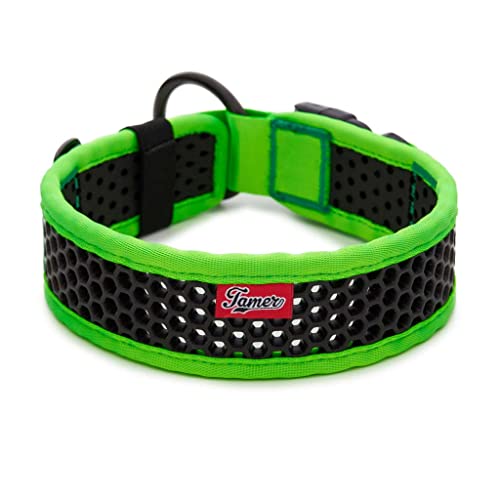 TAMER Softy Halsband | Breite 5,1cm | Umfang 55-61cm | grün/schwarz TAMER Softy Halsband | Breite 5,1cm | Umfang 55-61cm | grün/schwarz von TAMER