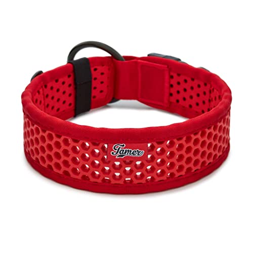 TAMER Softy Halsband | Breite 5,1cm | Umfang 55-61cm | rot TAMER Softy Halsband | Breite 5,1cm | Umfang 55-61cm | rot von TAMER