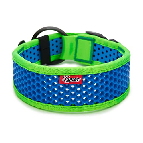 TAMER Softy Halsband | Breite 6,3cm | Umfang 45-51cm | grün/blau TAMER Softy Halsband | Breite 6,3cm | Umfang 45-51cm | grün/blau von TAMER