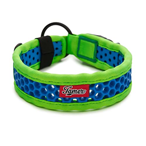 TAMER Softy Halsband | Breite 3,8cm | Umfang 45-51cm | grün/blau TAMER Softy Halsband | Breite 3,8cm | Umfang 45-51cm | grün/blau von TAMER