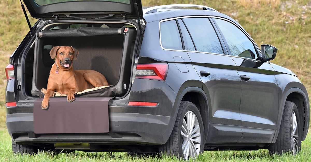 TAMI Auto & Home aufblasbare Hundebox mit Airbagfunktion braun M 79x89x64cm