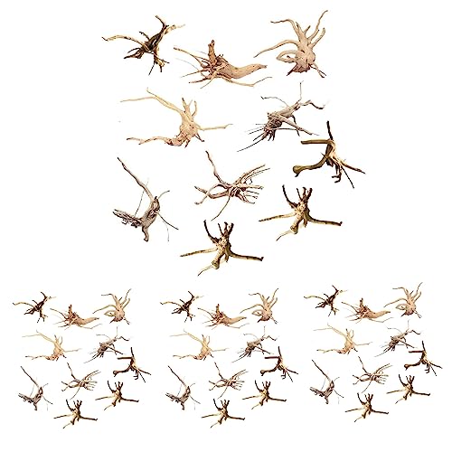 TAMOSH Mini Treibholz für Aquarium Natur Zweige Aquarium Dekorationen Reptilien Stamm Treibholz Sortiert (40 Pack) von TAMOSH