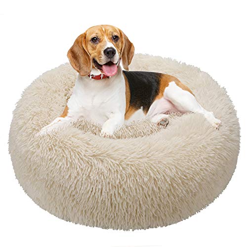 TAMOWA Hundebett, Haustierbett Rund aus Plüsch, Katzenbett flauschig, Welpen Kissen, Tragbare Warme Weiche Bequeme Hundesofa, Donut Kissen für Katzen und kleine Hunde, 60CM, Beige von TAMOWA