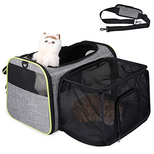 TAMOWA Transportbox Katze Transportbox Hund Faltbare Hundetragetasche, Faltbare Katzentragetasche mit Schultergurt, Transporttasche von Haustiere Hund & Katze im Auto oder in der Flugzeug, Grau TAMOWA Transportbox Katze Transportbox Hund Faltbare Hundetragetasche, Faltbare Katzentragetasche mit Schultergurt, Transporttasche von Haustiere Hund & Katze im Auto oder in der Flugzeug, Grau von TAMOWA