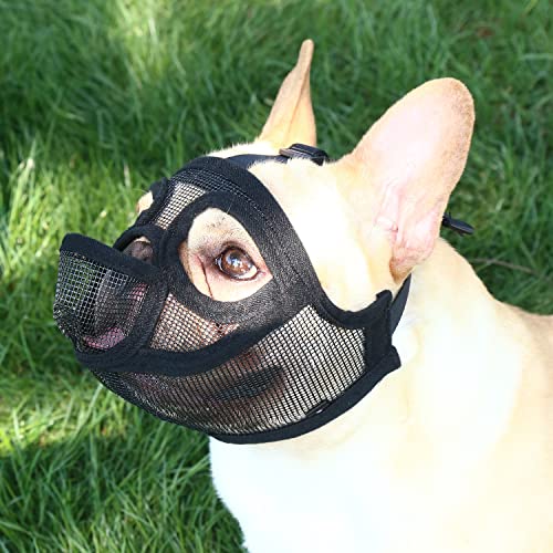 Maulkorb für Hunde mit kurzer Schnauze, verstellbar, atmungsaktiv, Netzgewebe, Bulldogge, Hundemaske für Bellen, Beißen, Kautraining (Größe M) von TANDD