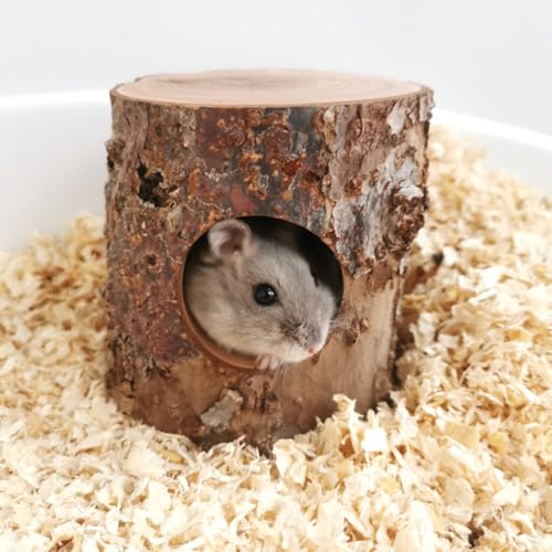 TANOMA Habitat Haus Versteck für Hamster, Mäuse, Rennmäuse, Mäuse und andere kleine Tiere TANOMA Habitat Haus Versteck für Hamster, Mäuse, Rennmäuse, Mäuse und andere kleine Tiere von TANOMA