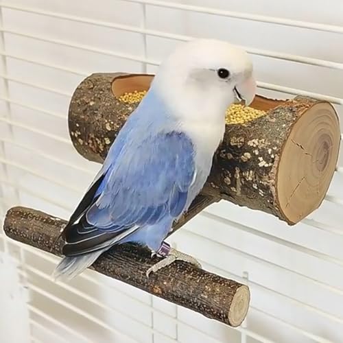 TANOMA Kleine Futterschale für Vögel, abnehmbarer Futternapf für Käfig, Papageien-Futterschalen für Finken, Lovebirds Wellensittiche, Nymphensittiche, Sittiche TANOMA Kleine Futterschale für Vögel, abnehmbarer Futternapf für Käfig, Papageien-Futterschalen für Finken, Lovebirds Wellensittiche, Nymphensittiche, Sittiche von TANOMA