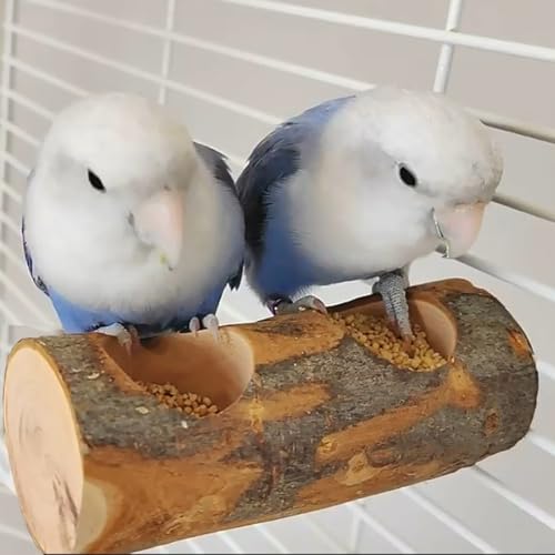TANOMA Kleine Futterschale für Vögel, abnehmbarer Futternapf für Käfig, Papageien-Futterschalen für Finken, Lovebirds Wellensittiche, Nymphensittiche, Sittiche TANOMA Kleine Futterschale für Vögel, abnehmbarer Futternapf für Käfig, Papageien-Futterschalen für Finken, Lovebirds Wellensittiche, Nymphensittiche, Sittiche von TANOMA