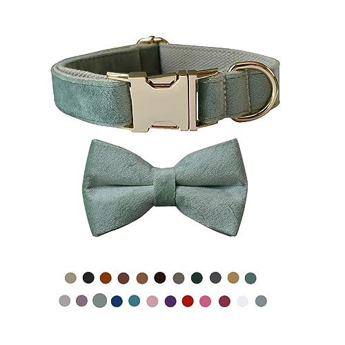 Hundehalsband mit Fliege, verstellbares Samt-Halsband für Hunde mit Metallschnalle und stilvoller, abnehmbarer Fliege für kleine, mittelgroße oder große Jungen und Mädchen, Hunde und Katzen, Hundehalsband mit Fliege, verstellbares Samt-Halsband für Hunde mit Metallschnalle und stilvoller, abnehmbarer Fliege für kleine, mittelgroße oder große Jungen und Mädchen, Hunde und Katzen, von TANXIC