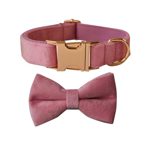 Hundehalsband mit Fliege, verstellbares Samt-Halsband für Hunde mit Metallschnalle und stilvoller, abnehmbarer Fliege für kleine, mittelgroße oder große Jungen und Mädchen, Hunde und Katzen, Hundehalsband mit Fliege, verstellbares Samt-Halsband für Hunde mit Metallschnalle und stilvoller, abnehmbarer Fliege für kleine, mittelgroße oder große Jungen und Mädchen, Hunde und Katzen, von TANXIC