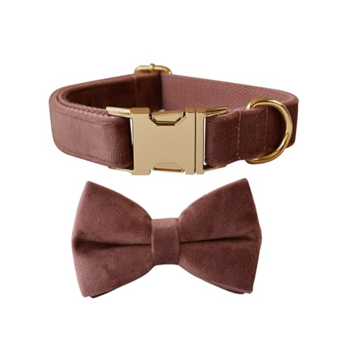 Hundehalsband mit Fliege, verstellbares Samt-Halsband für Hunde mit Metallschnalle und stilvoller, abnehmbarer Fliege für kleine, mittelgroße oder große Jungen und Mädchen, Hunde und Katzen, Hundehalsband mit Fliege, verstellbares Samt-Halsband für Hunde mit Metallschnalle und stilvoller, abnehmbarer Fliege für kleine, mittelgroße oder große Jungen und Mädchen, Hunde und Katzen, von TANXIC