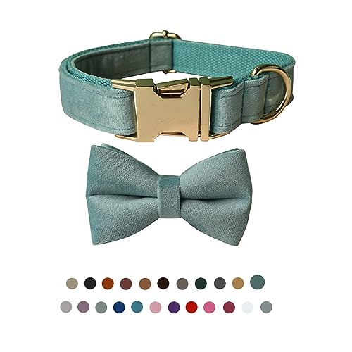 Hundehalsband mit Fliege, verstellbares Samt-Halsband für Hunde mit Metallschnalle und stilvoller, abnehmbarer Fliege für kleine, mittelgroße oder große Jungen und Mädchen, Hunde und Katzen, Hundehalsband mit Fliege, verstellbares Samt-Halsband für Hunde mit Metallschnalle und stilvoller, abnehmbarer Fliege für kleine, mittelgroße oder große Jungen und Mädchen, Hunde und Katzen, von TANXIC