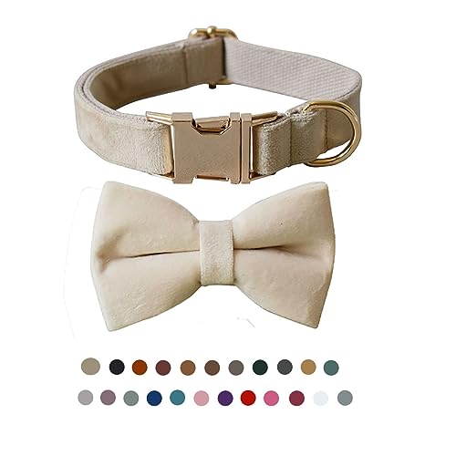 Hundehalsband mit Fliege, verstellbares Samt-Halsband für Hunde mit Metallschnalle und stilvoller, abnehmbarer Fliege für kleine, mittelgroße oder große Jungen und Mädchen, Hunde und Katzen, Hundehalsband mit Fliege, verstellbares Samt-Halsband für Hunde mit Metallschnalle und stilvoller, abnehmbarer Fliege für kleine, mittelgroße oder große Jungen und Mädchen, Hunde und Katzen, von TANXIC