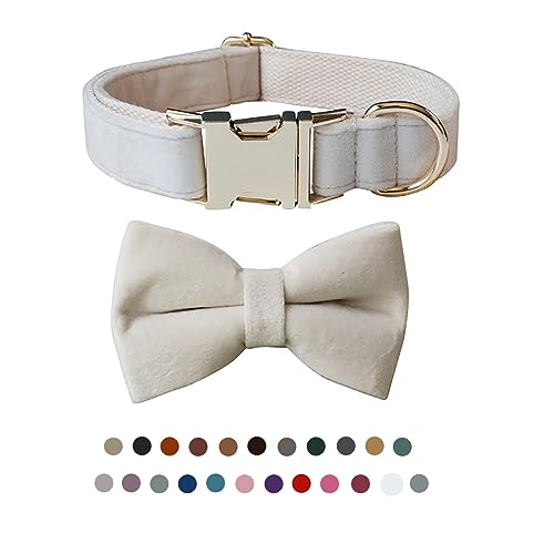 Hundehalsband mit Fliege, verstellbares Samt-Halsband für Hunde mit Metallschnalle und stilvoller, abnehmbarer Fliege für kleine, mittelgroße oder große Jungen und Mädchen, Hunde und Katzen, Hundehalsband mit Fliege, verstellbares Samt-Halsband für Hunde mit Metallschnalle und stilvoller, abnehmbarer Fliege für kleine, mittelgroße oder große Jungen und Mädchen, Hunde und Katzen, von TANXIC