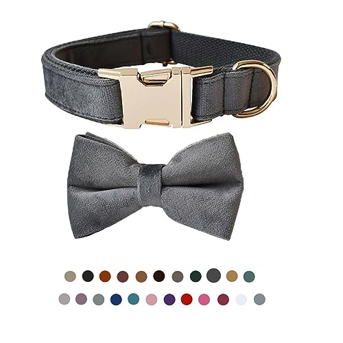 Hundehalsband mit Fliege, verstellbares Samt-Halsband für Hunde mit Metallschnalle und stilvoller, abnehmbarer Fliege für kleine, mittelgroße oder große Jungen und Mädchen, Hunde und Katzen, Hundehalsband mit Fliege, verstellbares Samt-Halsband für Hunde mit Metallschnalle und stilvoller, abnehmbarer Fliege für kleine, mittelgroße oder große Jungen und Mädchen, Hunde und Katzen, von TANXIC