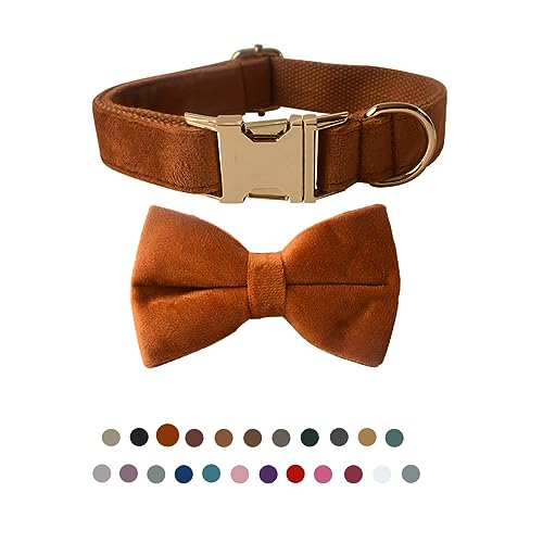 Hundehalsband mit Fliege, verstellbares Samt-Halsband für Hunde mit Metallschnalle und stilvoller, abnehmbarer Fliege für kleine, mittelgroße oder große Jungen und Mädchen, Hunde und Katzen, Hundehalsband mit Fliege, verstellbares Samt-Halsband für Hunde mit Metallschnalle und stilvoller, abnehmbarer Fliege für kleine, mittelgroße oder große Jungen und Mädchen, Hunde und Katzen, von TANXIC