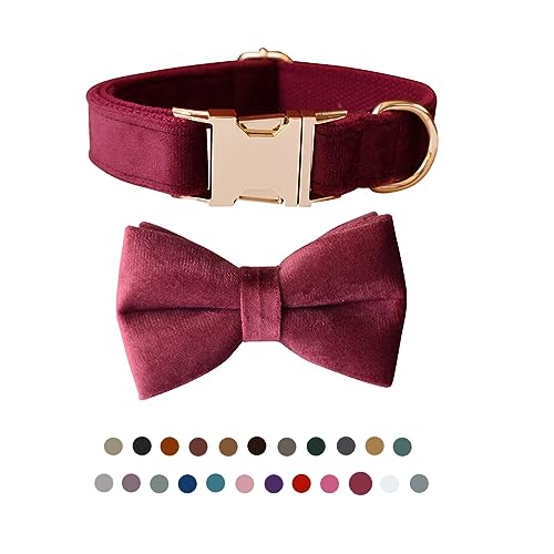Hundehalsband mit Fliege, verstellbares Samt-Haustierhalsband für Hunde mit Metallschnalle und stilvoller abnehmbarer Fliege für kleine, mittelgroße oder große Jungen und Mädchen, Hunde und Katzen, Hundehalsband mit Fliege, verstellbares Samt-Haustierhalsband für Hunde mit Metallschnalle und stilvoller abnehmbarer Fliege für kleine, mittelgroße oder große Jungen und Mädchen, Hunde und Katzen, von TANXIC