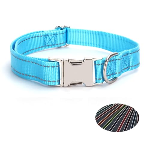 TANXIC Reflektierendes Hundehalsband mit Metallschnalle, verstellbare Sicherheits-Nylon-Halsbänder mit Schnellverschluss-Schnalle und Metall-D-Ring für kleine, mittelgroße und große Hunde (Blau, M) TANXIC Reflektierendes Hundehalsband mit Metallschnalle, verstellbare Sicherheits-Nylon-Halsbänder mit Schnellverschluss-Schnalle und Metall-D-Ring für kleine, mittelgroße und große Hunde (Blau, M) von TANXIC