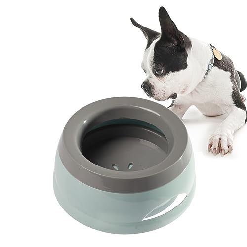 Wassernapf für Hunde, 750 ml, kein Verschütten, große Kapazität, langsamer Wasserspender, auslaufsicher, Haustier-Wasserspender, langsames Trinken, Reise-Wassernapf für Hunde/Katzen/Haustiere (blau) Wassernapf für Hunde, 750 ml, kein Verschütten, große Kapazität, langsamer Wasserspender, auslaufsicher, Haustier-Wasserspender, langsames Trinken, Reise-Wassernapf für Hunde/Katzen/Haustiere (blau) von TANXIC